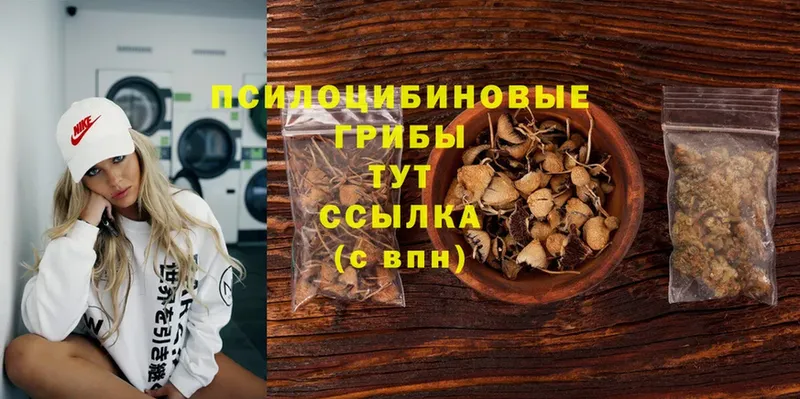 Купить наркотики Артёмовск Конопля  Cocaine  ГАШИШ  НБОМе  МЕФ  Alpha-PVP 